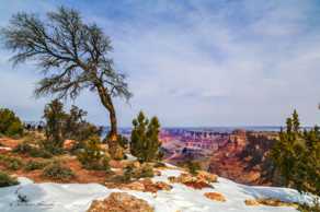 Grand Canyon-9642.jpg Grand Canyon-9642.jpg